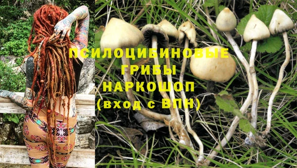 кокс Аркадак