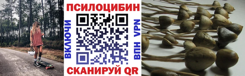 Галлюциногенные грибы Magic Shrooms  купить наркотики сайты  Спасск-Дальний 