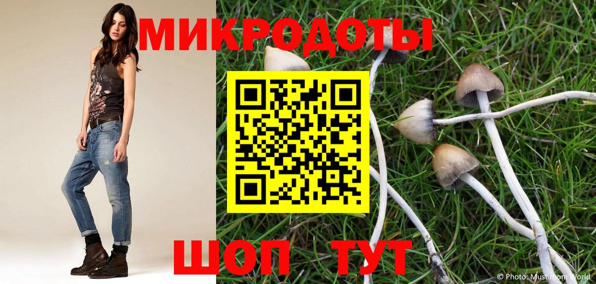 Галлюциногенные грибы Cubensis  Псилоцибиновые грибы прущие грибы  Спасск-Дальний  Вход с VPN 